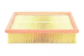 BSG30145009 BSG Фильтр, воздух во внутренном пространстве